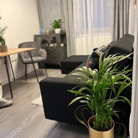 Musai Apartment Braszów Zewnętrze zdjęcie